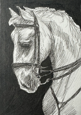 ACEO Original Portrait of a Horse Drawing aceo art card thumbnail 2