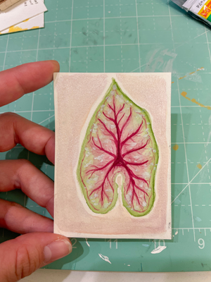 Pink Veins aceo art card thumbnail 1