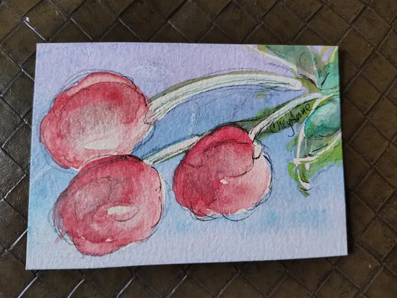 Cherries WaterColour by CheyAnne aceo art card