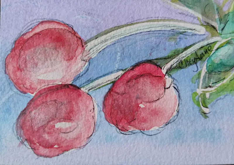Cherries WaterColour by CheyAnne aceo art card