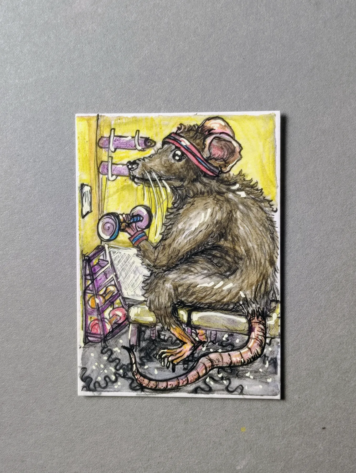 Gym rat aceo art card