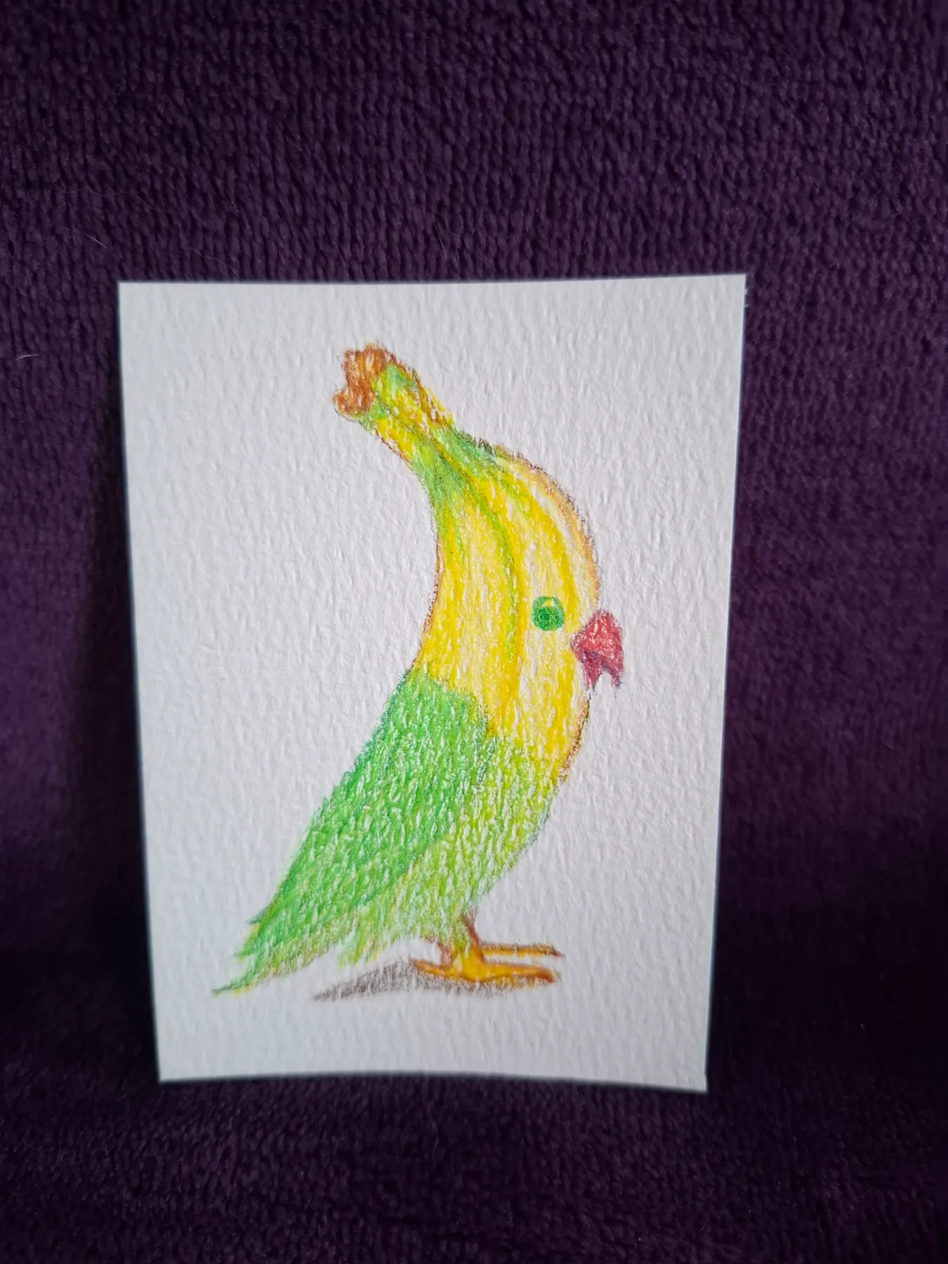 Banana bird aceo art card