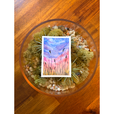 Evening Reed aceo art card thumbnail 2
