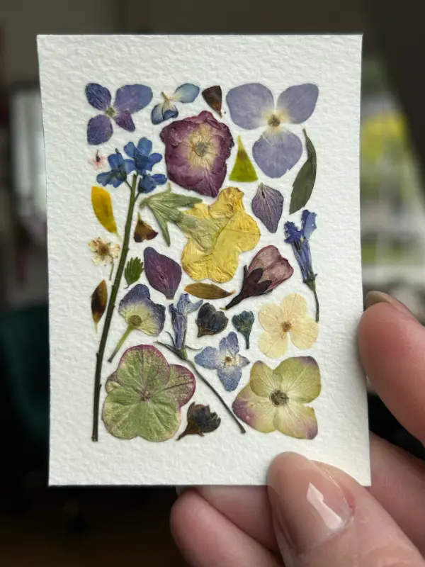 Pressed Flowers #4 aceo art card