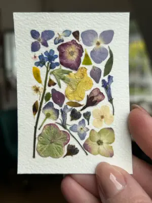 Pressed Flowers #4 aceo art card thumbnail 1