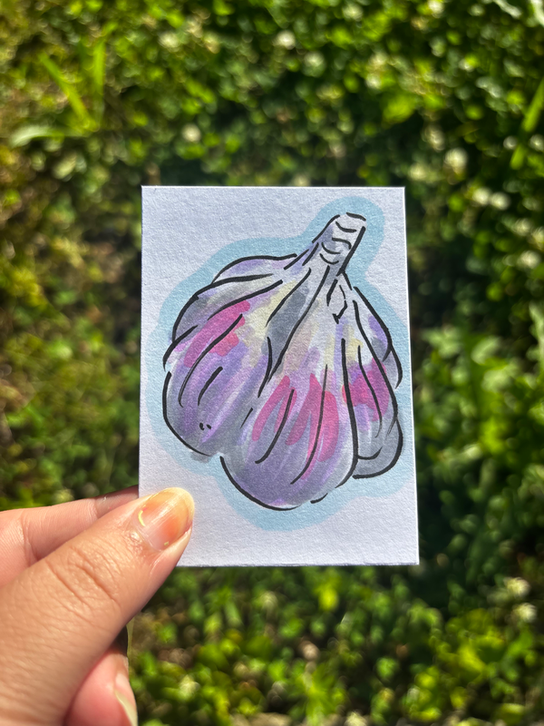 “Garlic” Food Vegetable aceo art card