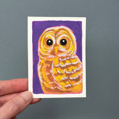Barred Owl on Purple aceo art card thumbnail 1
