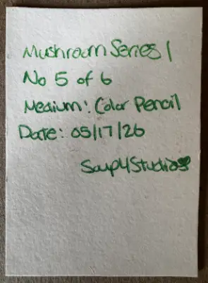 ACEOs Original Art Drawing , Mushroom Series 1 No. 5 of 6 , Color pencil aceo art card thumbnail 2