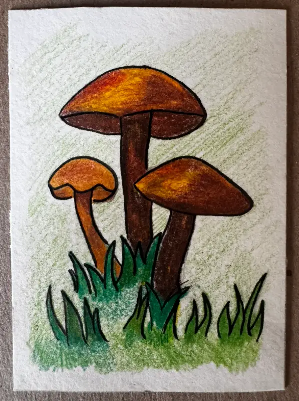 ACEOs Original Art Drawing , Mushroom Series 1 No. 5 of 6 , Color pencil aceo art card
