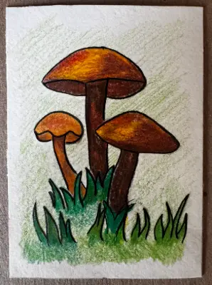 ACEOs Original Art Drawing , Mushroom Series 1 No. 5 of 6 , Color pencil aceo art card thumbnail 1