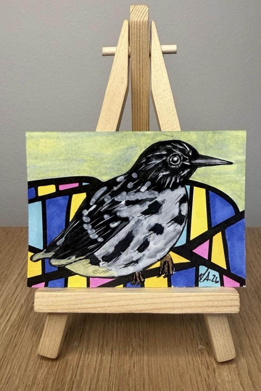 Spot Backed Ant Bird Original ACEO by Lyndsay Aznaurov aceo art card