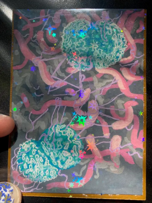 Neisseria meningitidis aceo art card