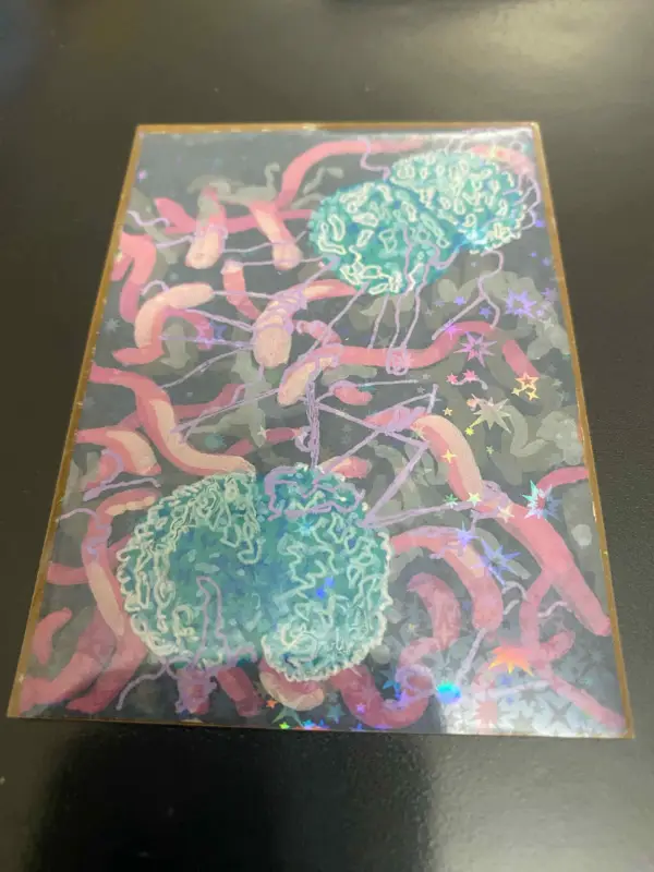 Neisseria meningitidis aceo art card