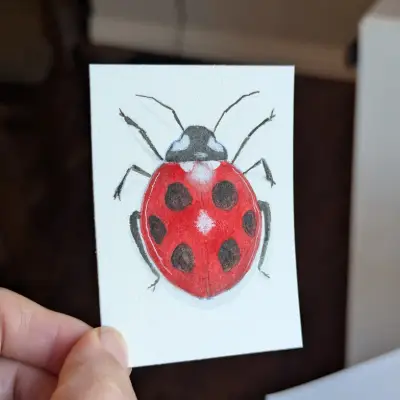 Ladybug #2 aceo art card thumbnail 3