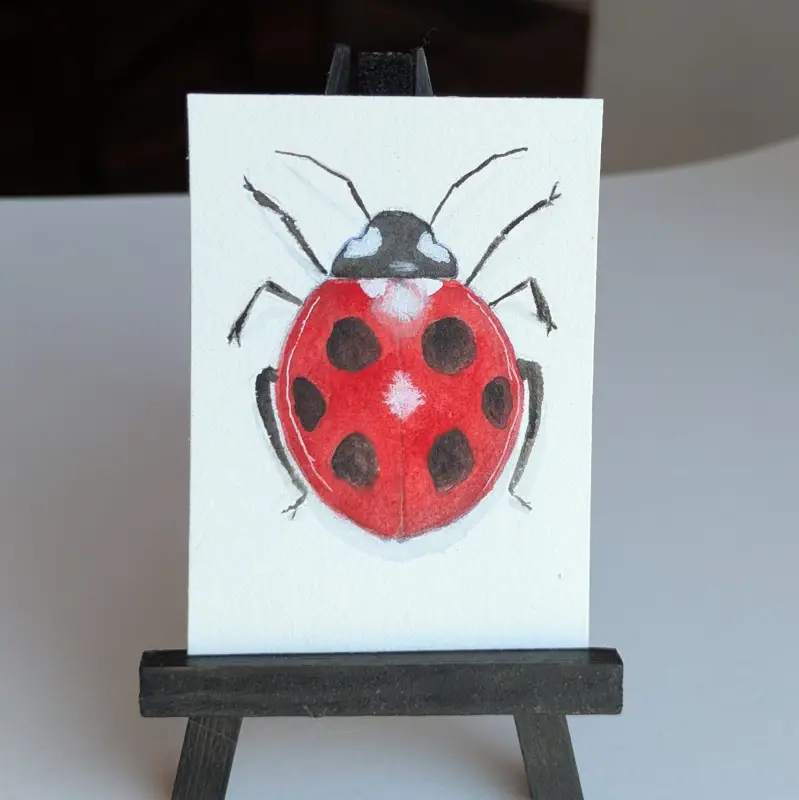 Ladybug #2 aceo art card