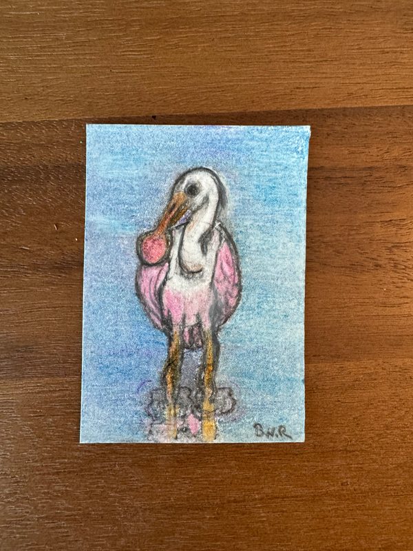 The Florida Birds 3 “Spoonbill” aceo art card