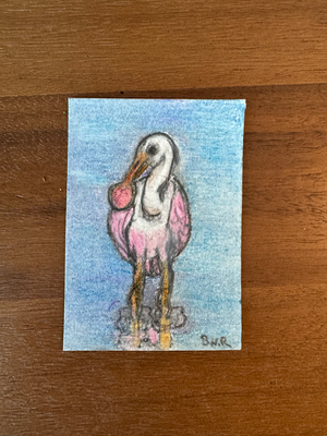 The Florida Birds 3 “Spoonbill” aceo art card thumbnail 1