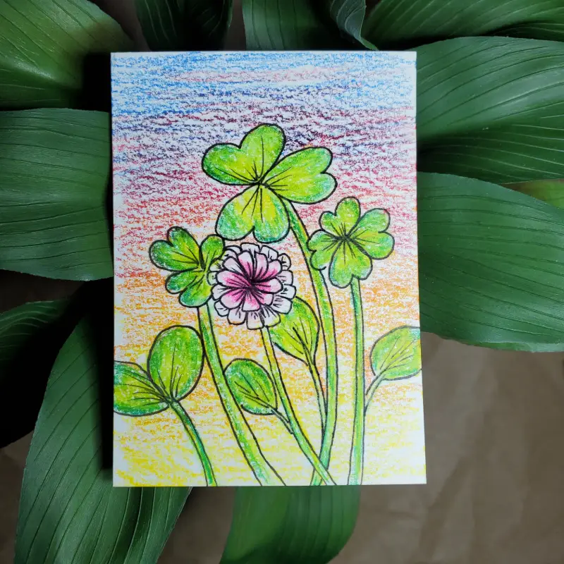 Clover Sketch aceo art card