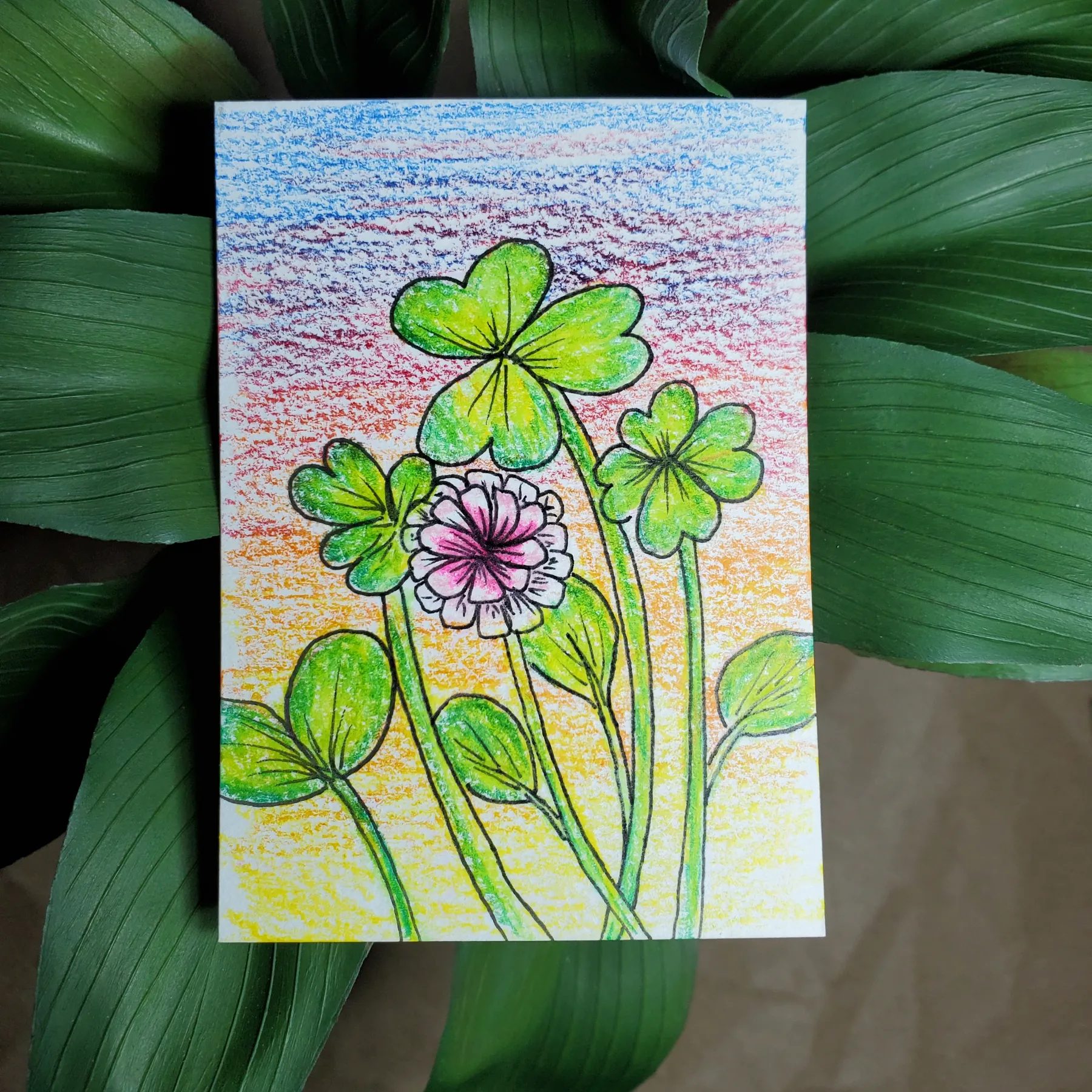 Clover Sketch aceo art card