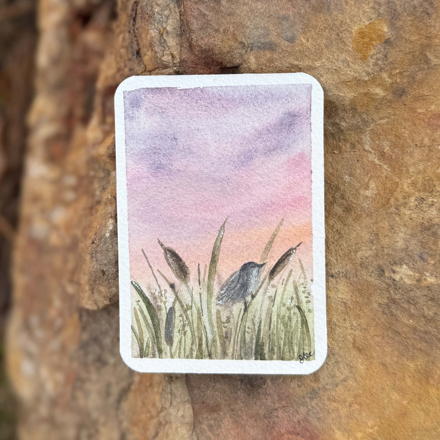Bird in the Field aceo art card