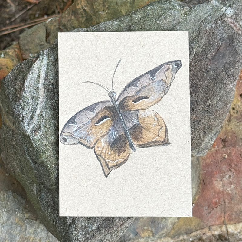 ACEO Watercolor Nature Collection “Butterfly” aceo art card