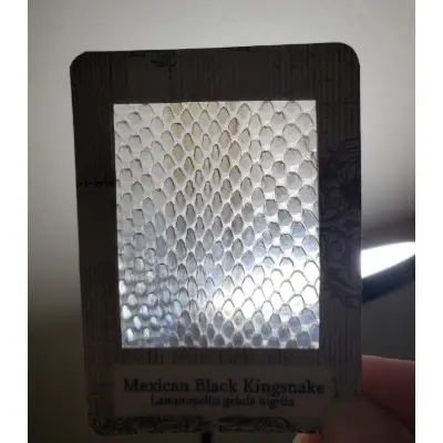 Demon Skin aceo art card thumbnail 2