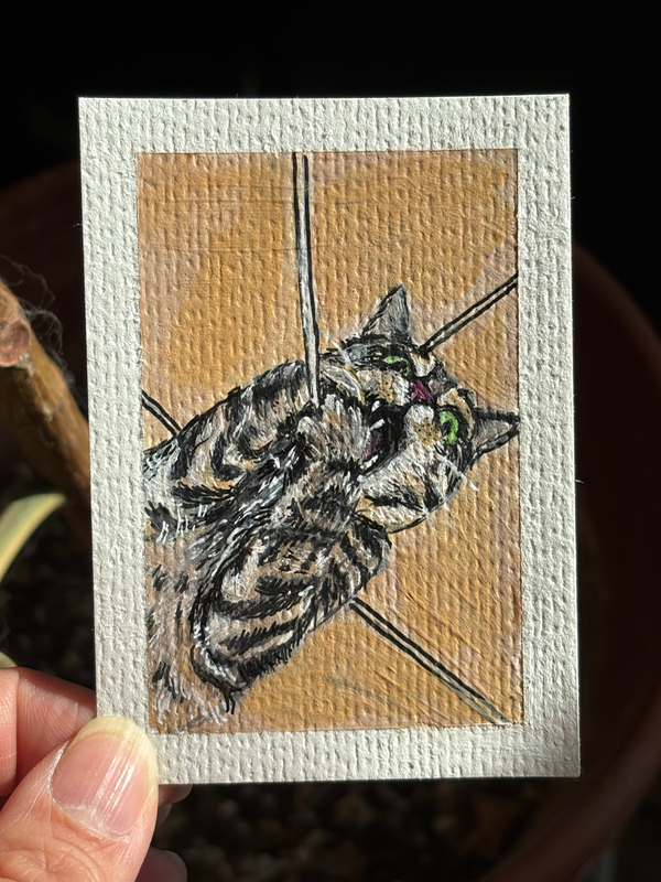 ACRO original, Mochi vs. string aceo art card