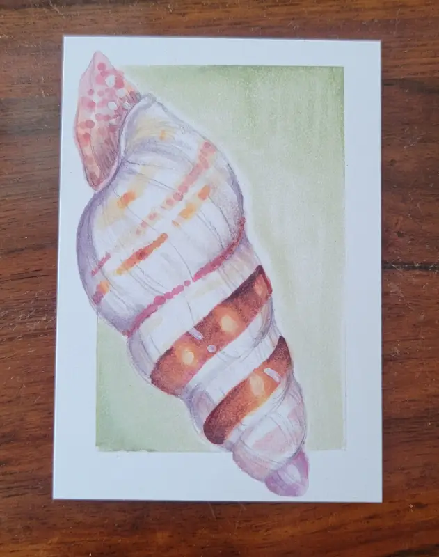 ACEO Original Marker Drawing - Everglades, Florida, Snail, Insect aceo art card