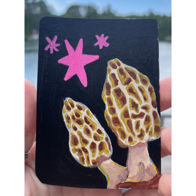 Morels aceo art card thumbnail 1