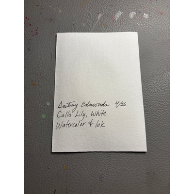 Calla Lily, White aceo art card thumbnail 2