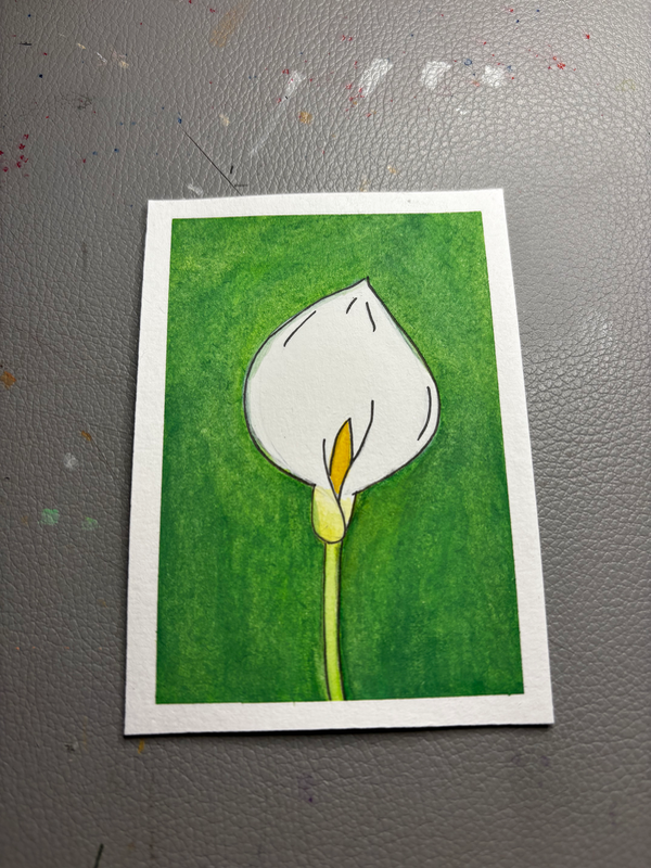 Calla Lily, White aceo art card