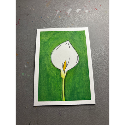 Calla Lily, White aceo art card thumbnail 1
