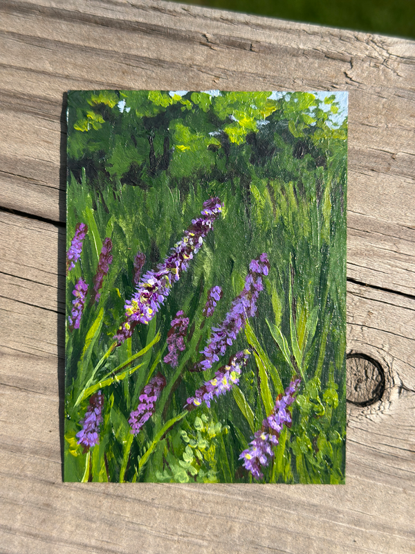 Blazing Star Botanical aceo art card