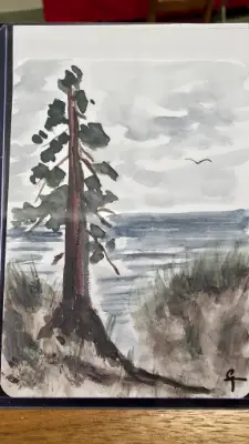 SEQUOIA STANDING TALL aceo art card thumbnail 1