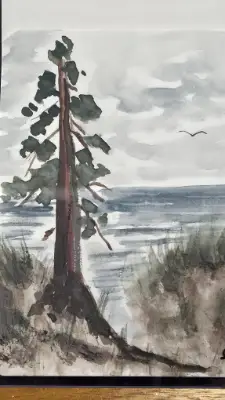 SEQUOIA STANDING TALL aceo art card thumbnail 2