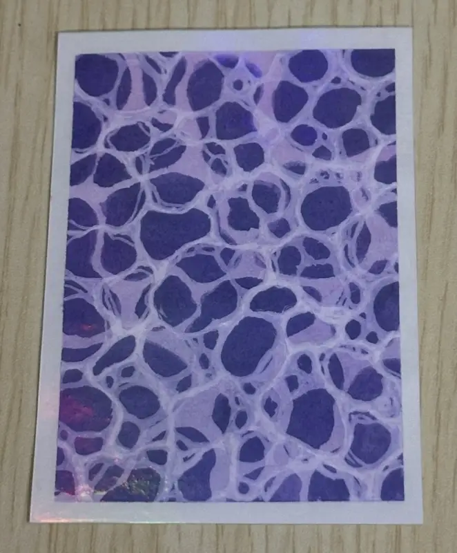 Swim-ply Violet aceo art card