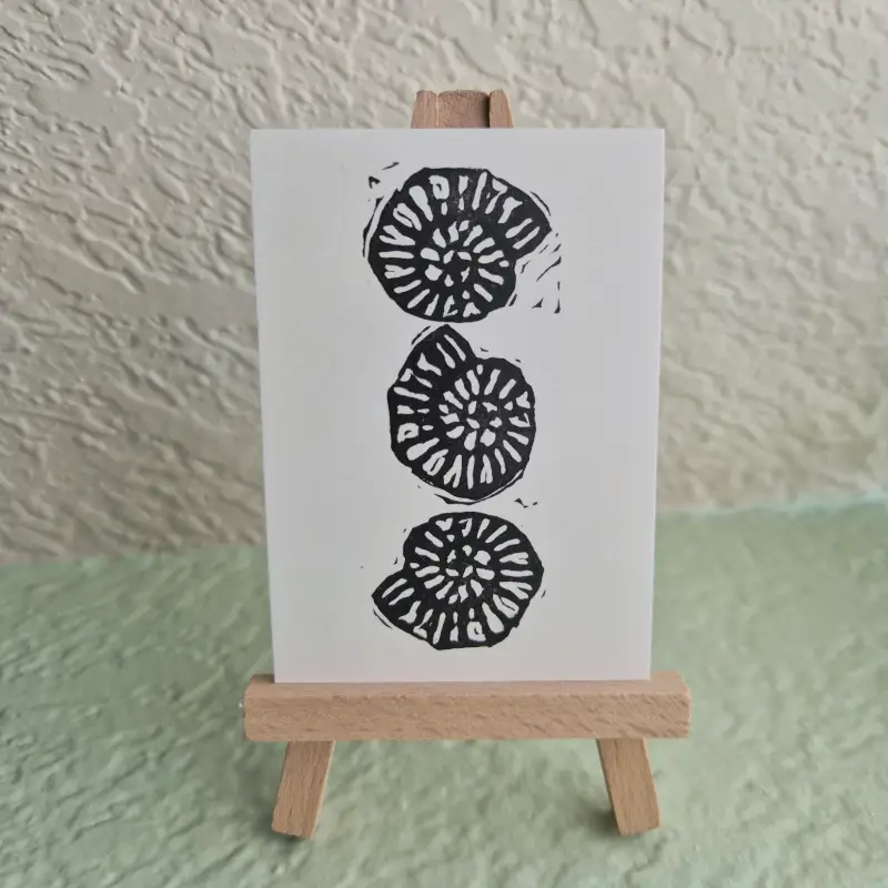 ammonite trio aceo art card