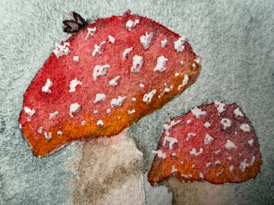 Mushrooms with Insect aceo art card thumbnail 2