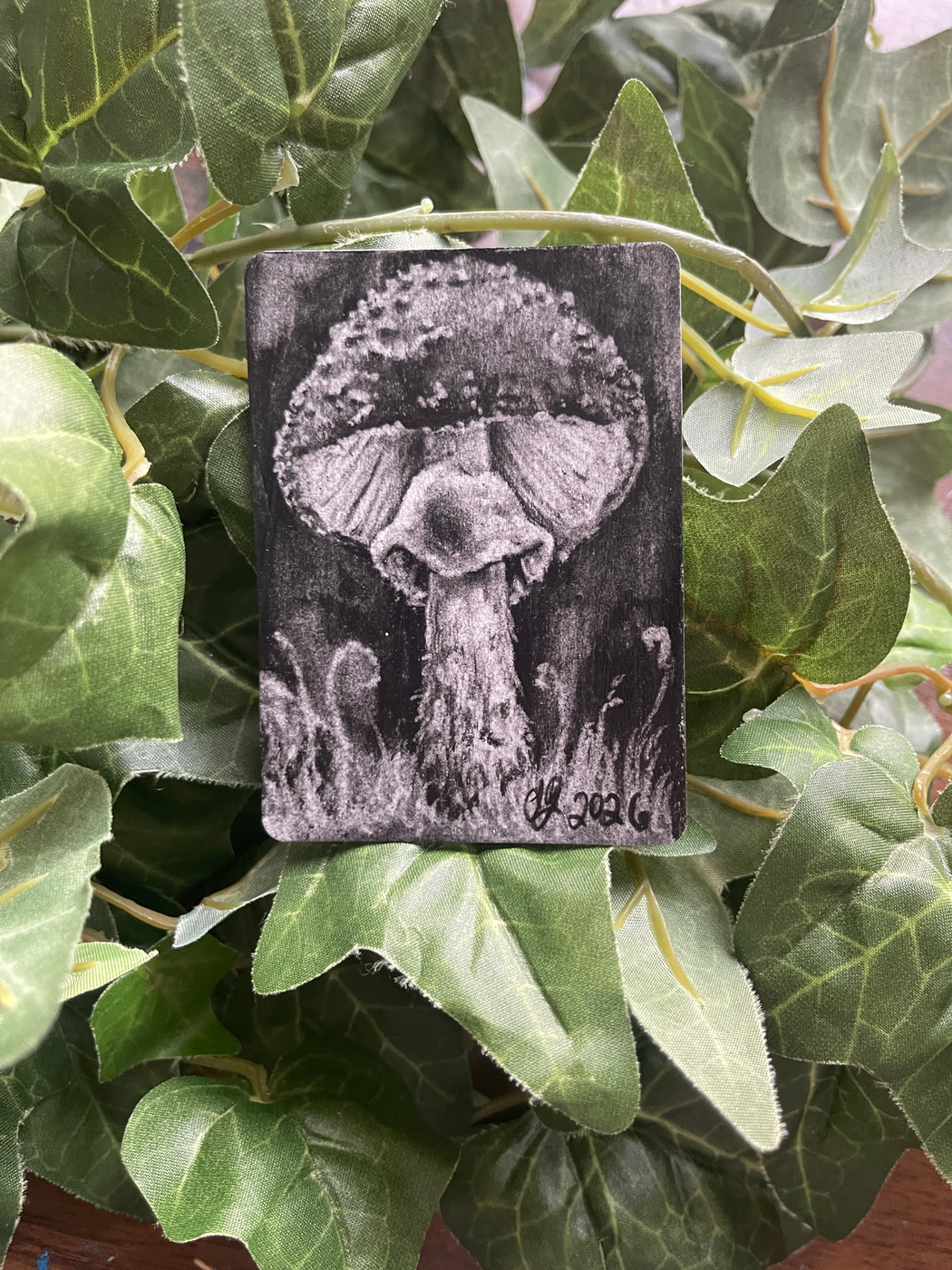 Toad Stool, 2nd Batch 3/9 aceo art card