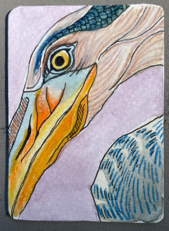 "Left Eye" - Blue heron ACEO aceo art card