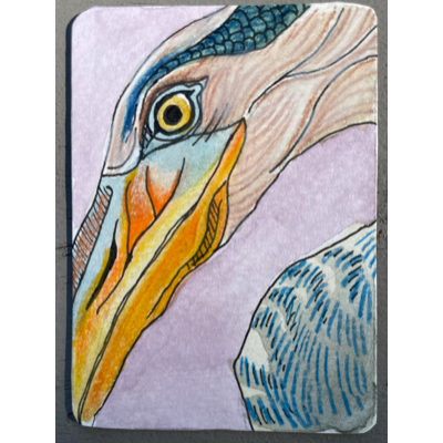 "Left Eye" - Blue heron ACEO aceo art card thumbnail 1