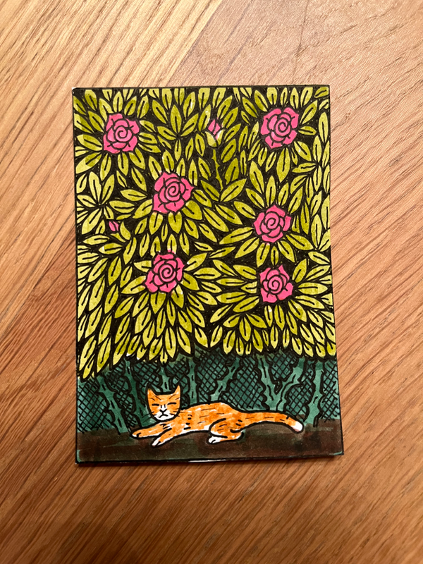 Quincy Under the Knockouts aceo art card