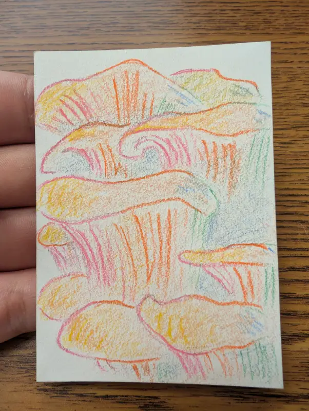 Oysters aceo art card