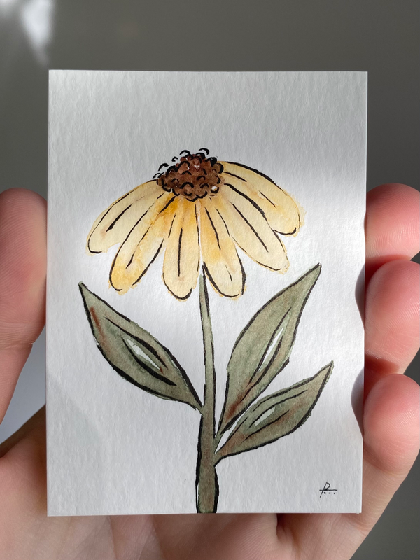 Yellow Coneflower aceo art card
