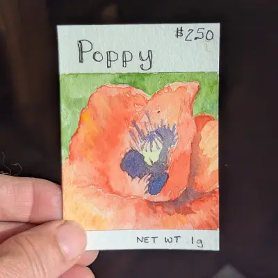 Red Poppy Seed Packet aceo art card thumbnail 2