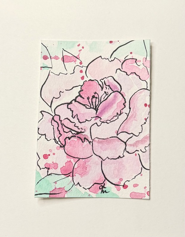 Backyard Rose aceo art card