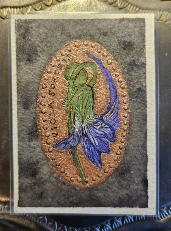 COMMON VIOLET Pressed Penny in Gouache & Ink aceo art card