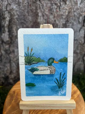 Mark the Mallard aceo art card thumbnail 2