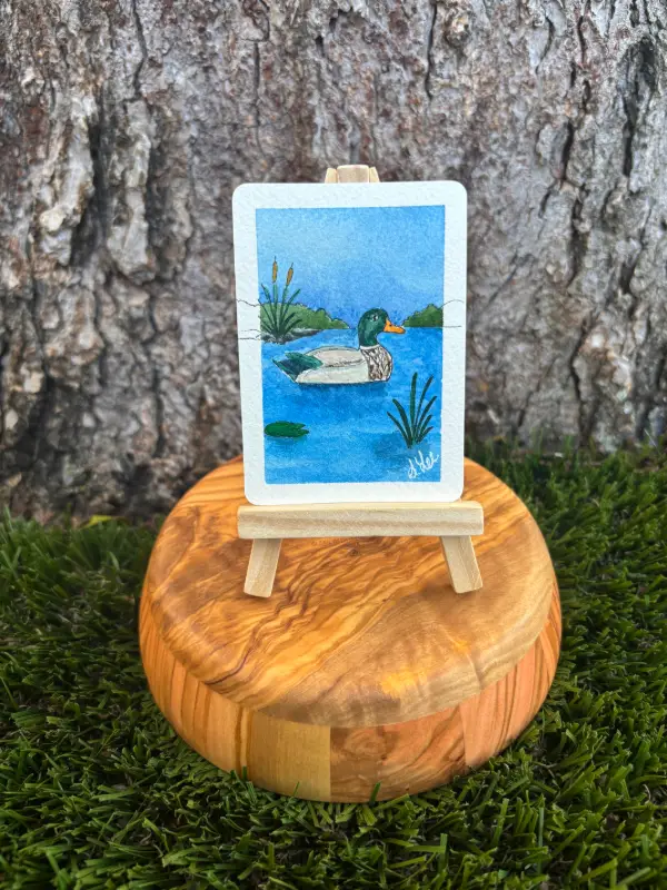 Mark the Mallard aceo art card