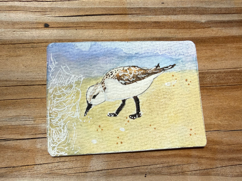 ACEO original “Sandpiper” bayleebowenart aceo art card